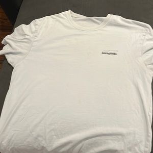 Patagonia mens tshirt